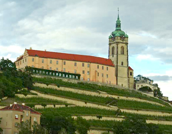 История виноделия в Чехии