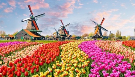Нідерланди та парк квітів Кейкенхоф (із готелем)