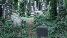 Ольшанское кладбище – самое старое и красивое кладбище в Праге