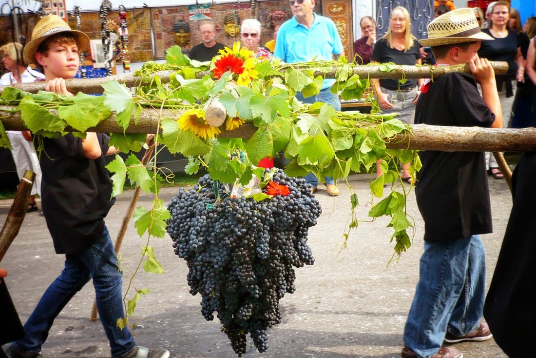 Традиционный праздник вина